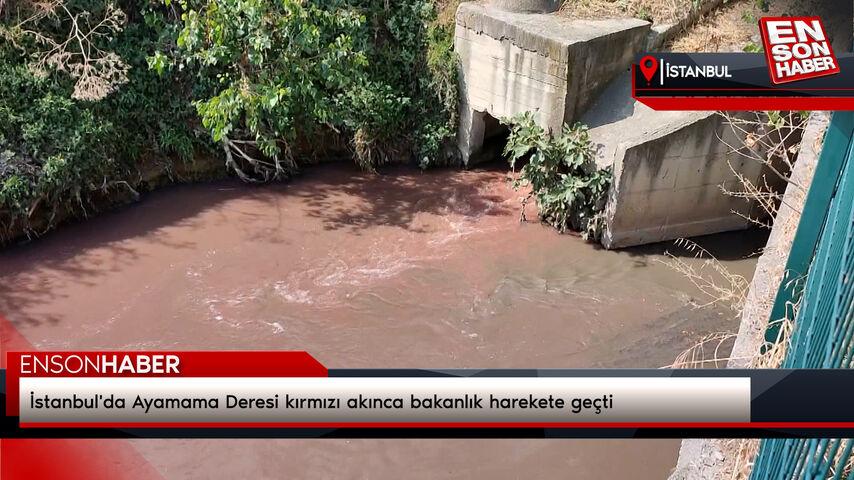 İstanbul’da Ayamama Deresi kırmızı akınca bakanlık harekete geçti